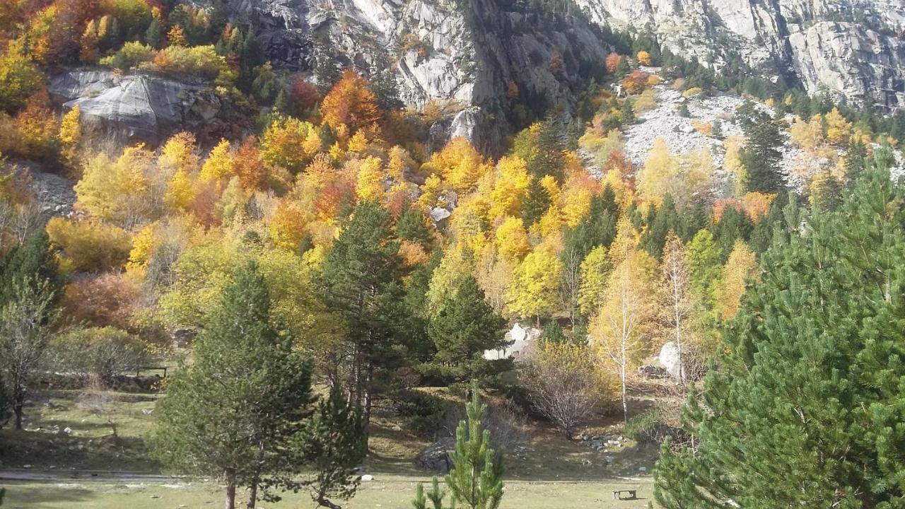 Casa Rural Vilaspasa, Alquiler Integro Gotarta Buitenkant foto