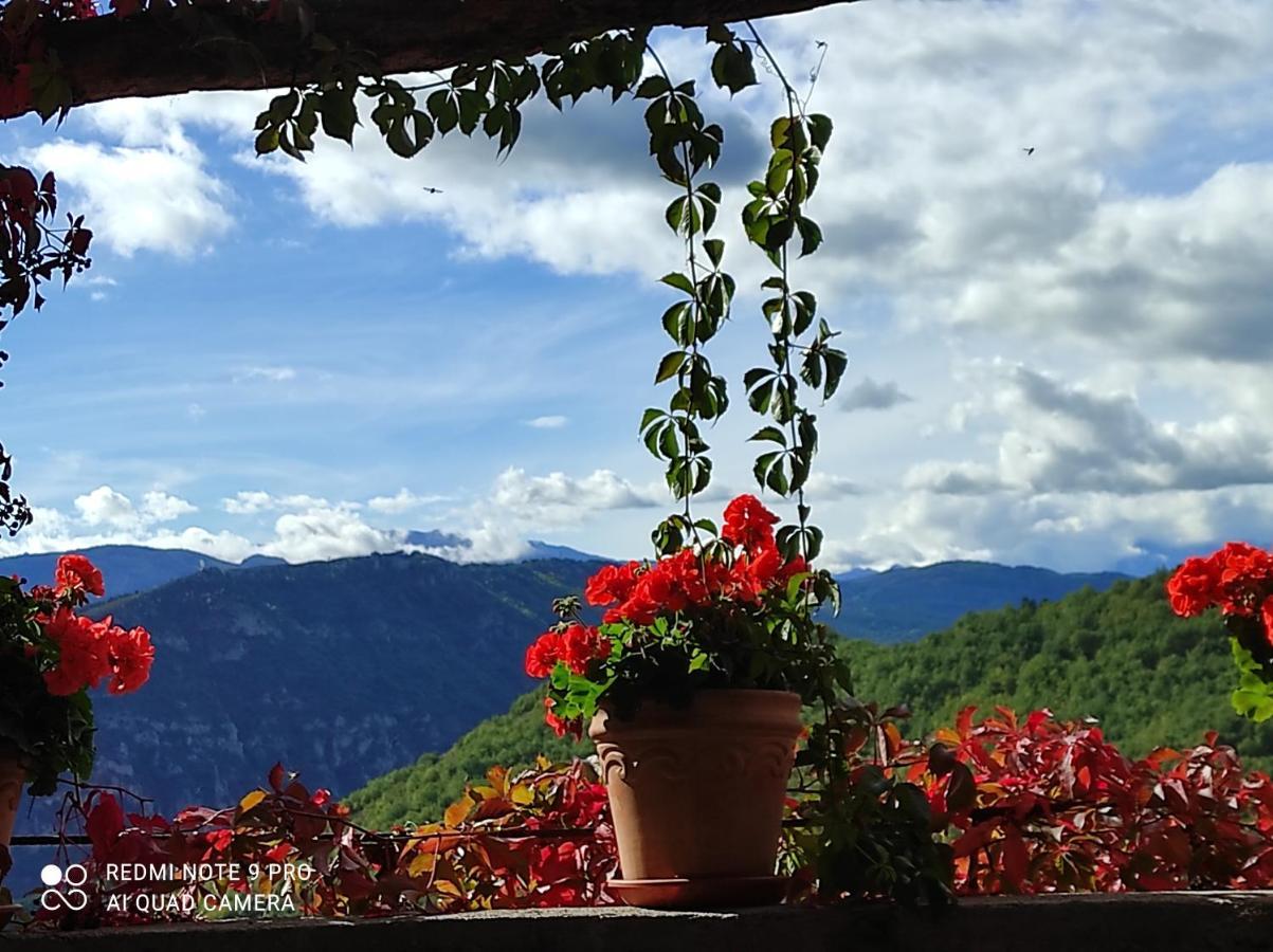 Casa Rural Vilaspasa, Alquiler Integro Gotarta Buitenkant foto