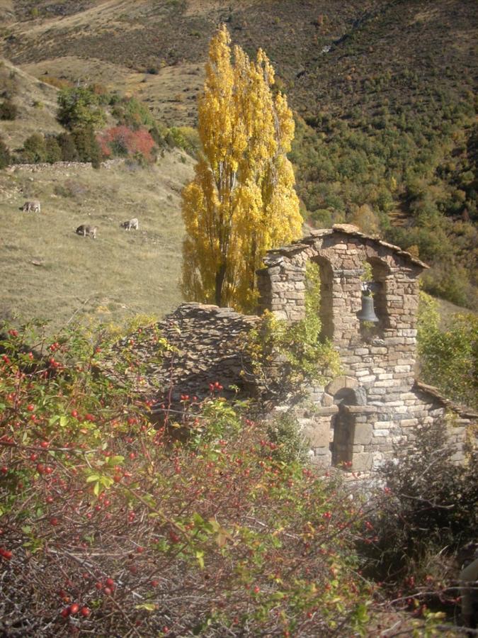 Casa Rural Vilaspasa, Alquiler Integro Gotarta Buitenkant foto