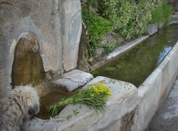 Casa Rural Vilaspasa, Alquiler Integro Gotarta Buitenkant foto